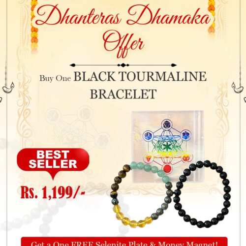 Black Tourmaline Bracelet with FREE Selenite Plate & Money Magnet Bracelet